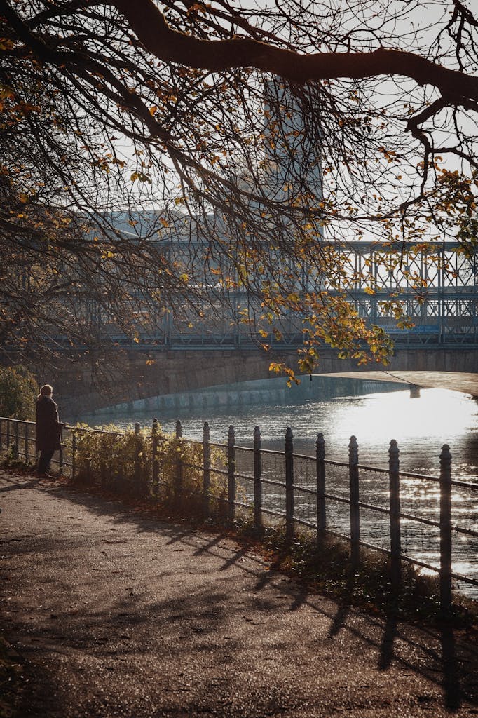 Serene autumn scene by Isar River with city view in Munich, Bavaria, Germany.